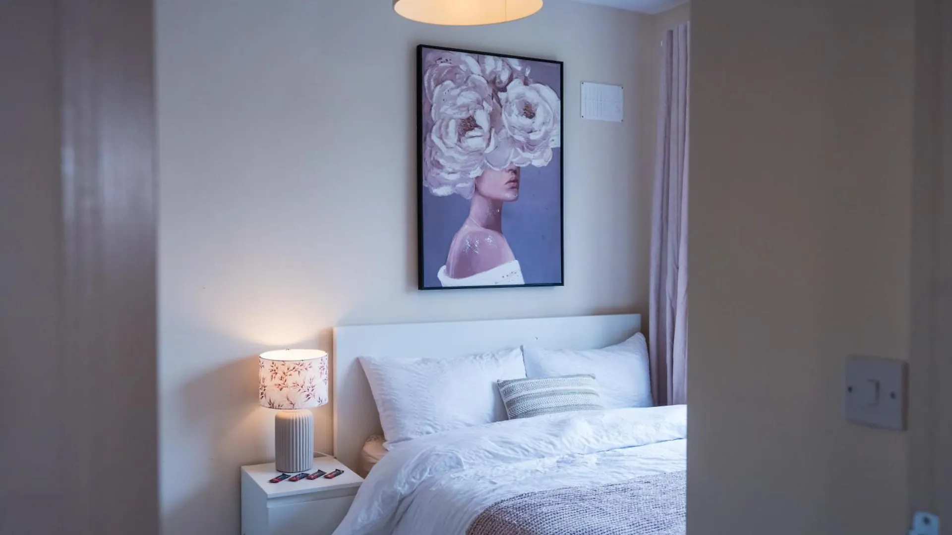 Séjour chez l'habitant Appartement Dublin Suburban Haven Irlande